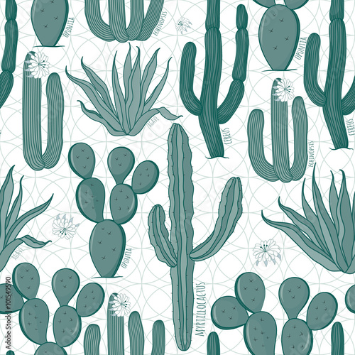 Seamless cactus pattern