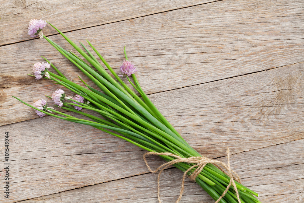 Fresh garden spring onion on garden table Fresh garden spring onion on garden table