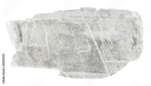 swallowtail gypsum crystal mineral stone photo