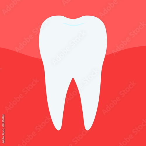 image of a human molar. flat design