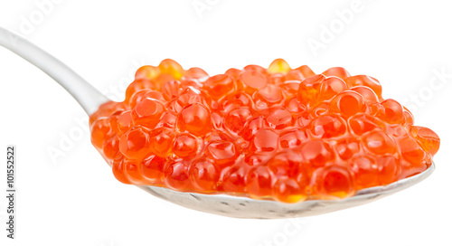 side view of Red caviar of Sockeye salmon on spoon