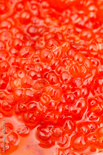 sockeye salmon fish salted red caviar close up