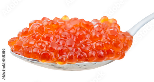 salty Sockeye salmon Red caviar on spoon close up