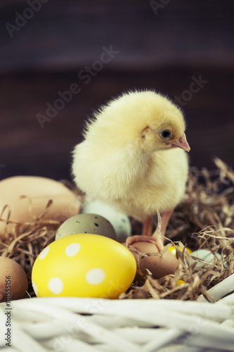 Easter chicken, eggs and decorations