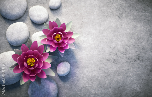 2 Lotusblüten mit Steinen
