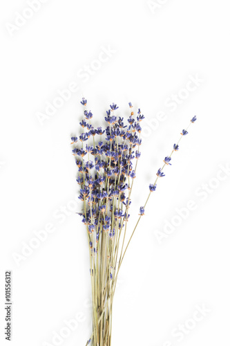 Fototapeta Naklejka Na Ścianę i Meble -  Lavender on a white background