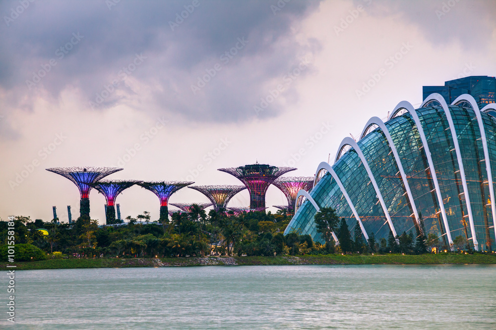 Singapore overview with Gardens by the Bay