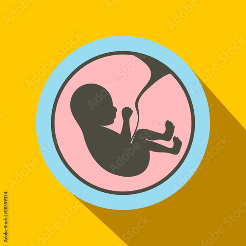 Baby in womb flat icon