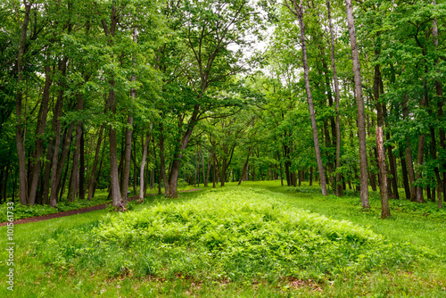Принти на полотні Effigy Mounds National Monument