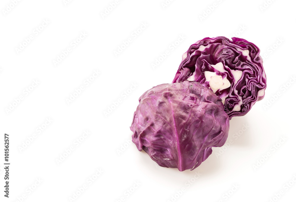 Purple cabbage Purple cabbage