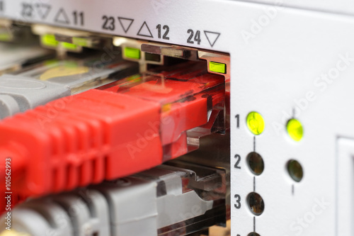 closeup of network cable plug in network switch, networking conc