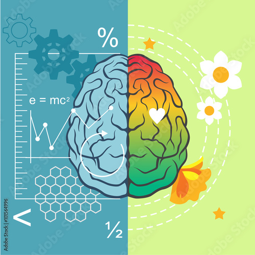 Sides of brain. Vector cartoon illustration