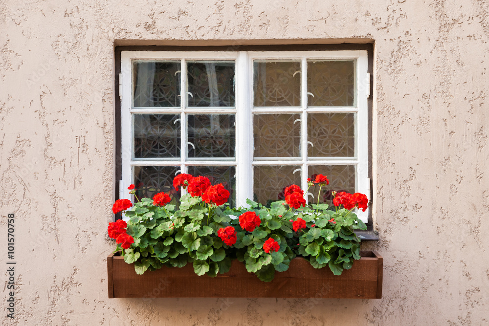 Window decorated with Geranium flowers