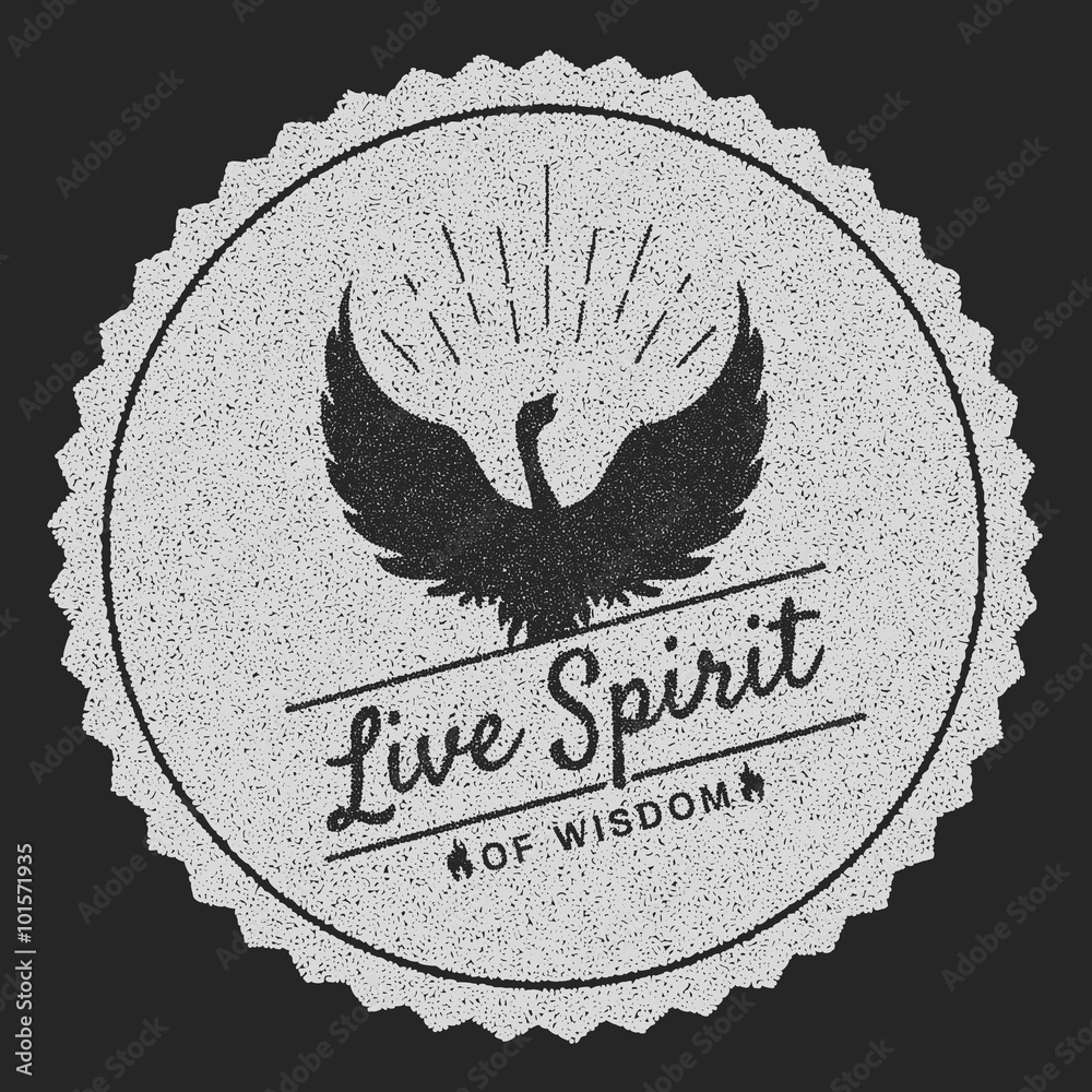Fotografie phoenix symbol vintage  logos, emblems, silhouettes and design elements