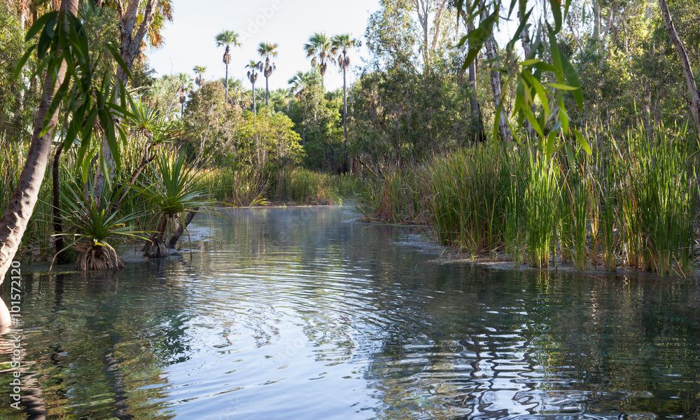 Εκτύπωση καμβά Australian hot springs