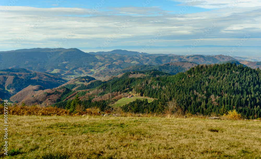 Beautiful green field and mountain landscape Beautiful green field and mountain landscape