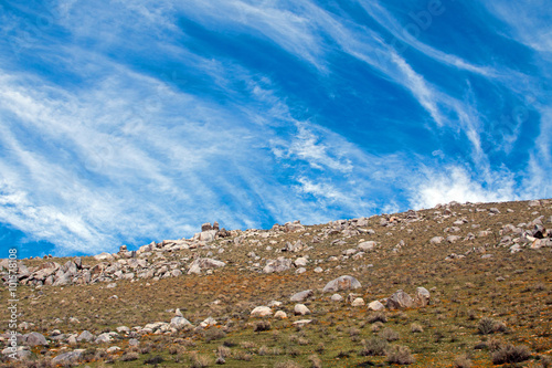 Fototapeta Naklejka Na Ścianę i Meble -  California Golden Poppies under dramatic sky during spring in the southern California's high desert between Lancaster, Palmdale, and Quartz Hill