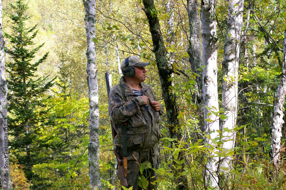 Huntsman hunts on hazel hen in autumn wood.
