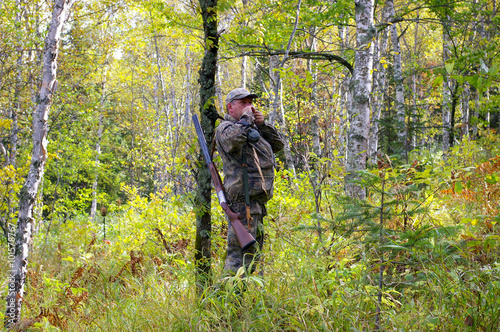 Huntsman hunts on hazel hen in autumn wood.