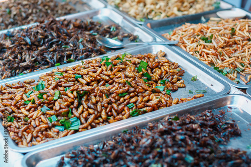 Fried insects © Piman Khrutmuang