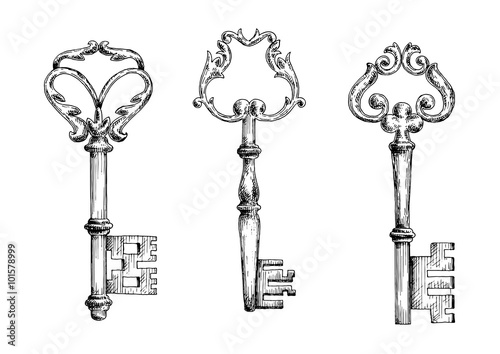 Old key sketletons in sketch style