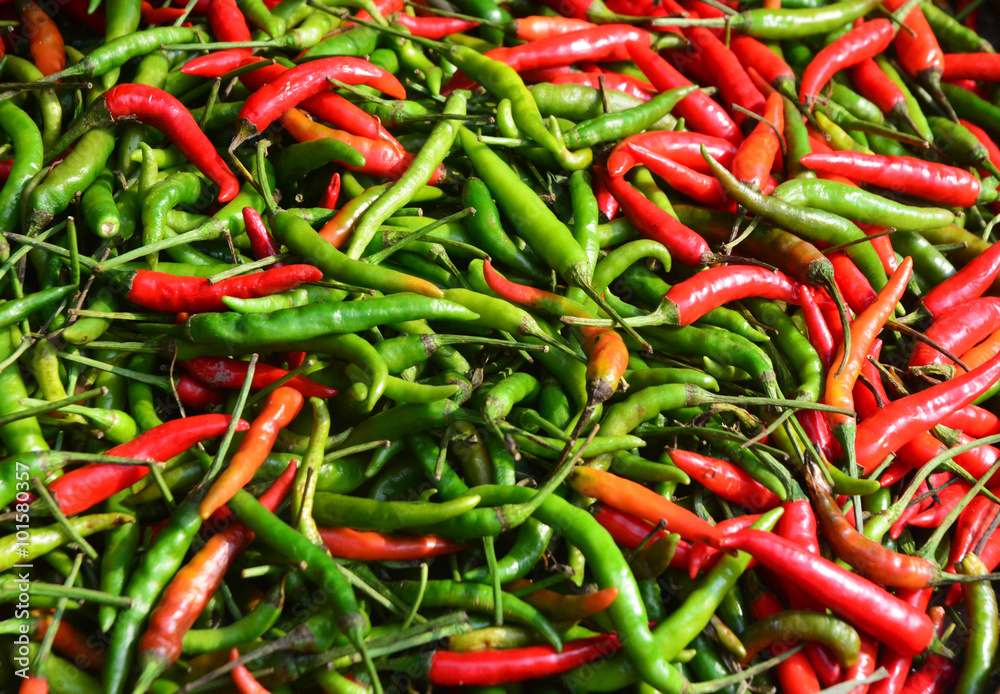 Red and Green Chillies Background,Selective focus Red and Green Chillies Background,Selective focus