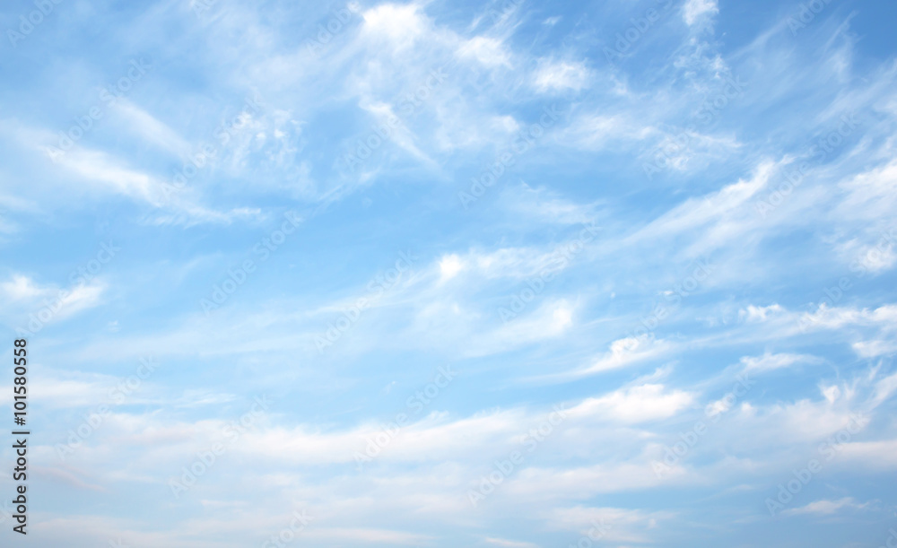 Fototapeta premium blue sky