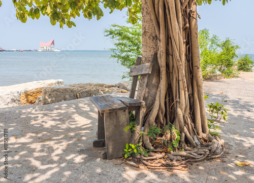 Beach chair under a tree