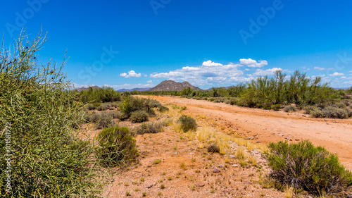 Desert landscape in Arizona, USA