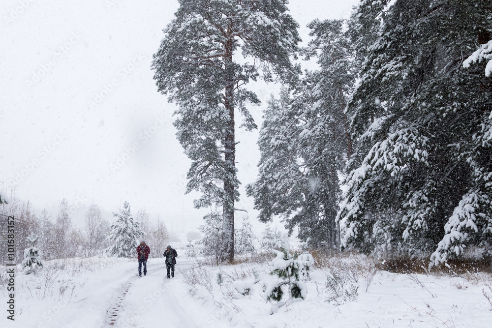 Snowy forest with two people on the path