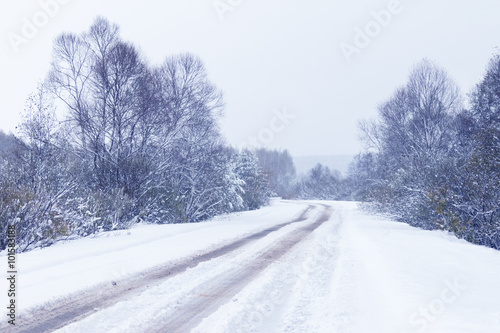 Snowy forest with a road track © watman