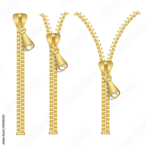 Golden Zip Set. Vector