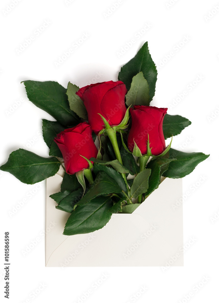 Bouquet of red roses in envelope isolated