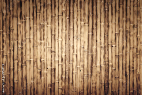 Many bamboo