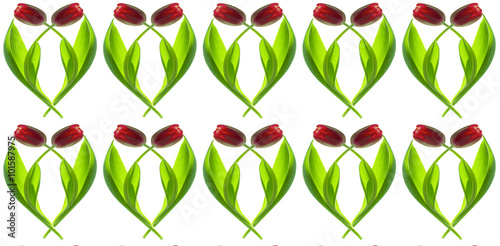 seamless pattern of  red tulips