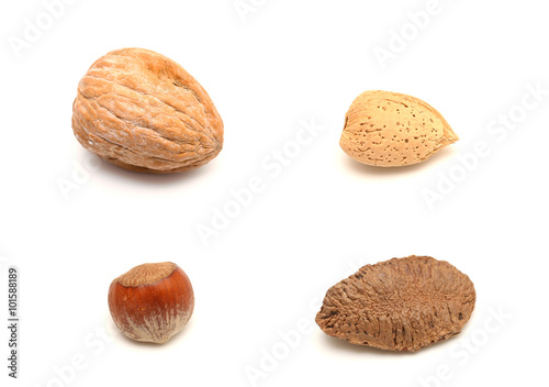 In Shell Nuts