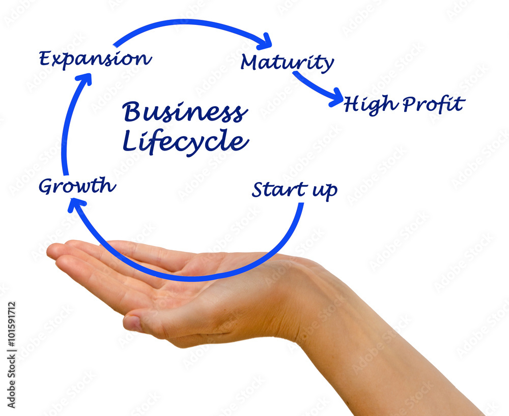 Diagram of Business lifecycle Diagram of Business lifecycle