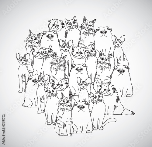 Group cats black and white isolate on white. 