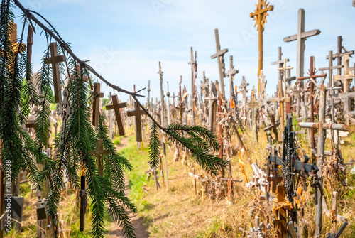 Crosses detail at the hill of crosses  Lithuania