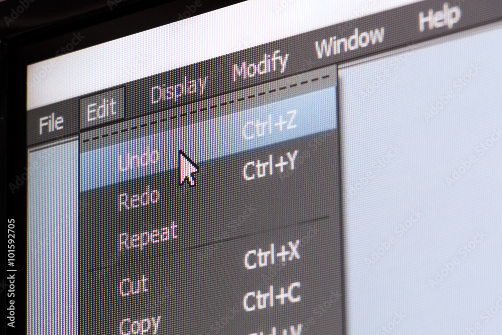 Tableau sur toile Software menu with undo command