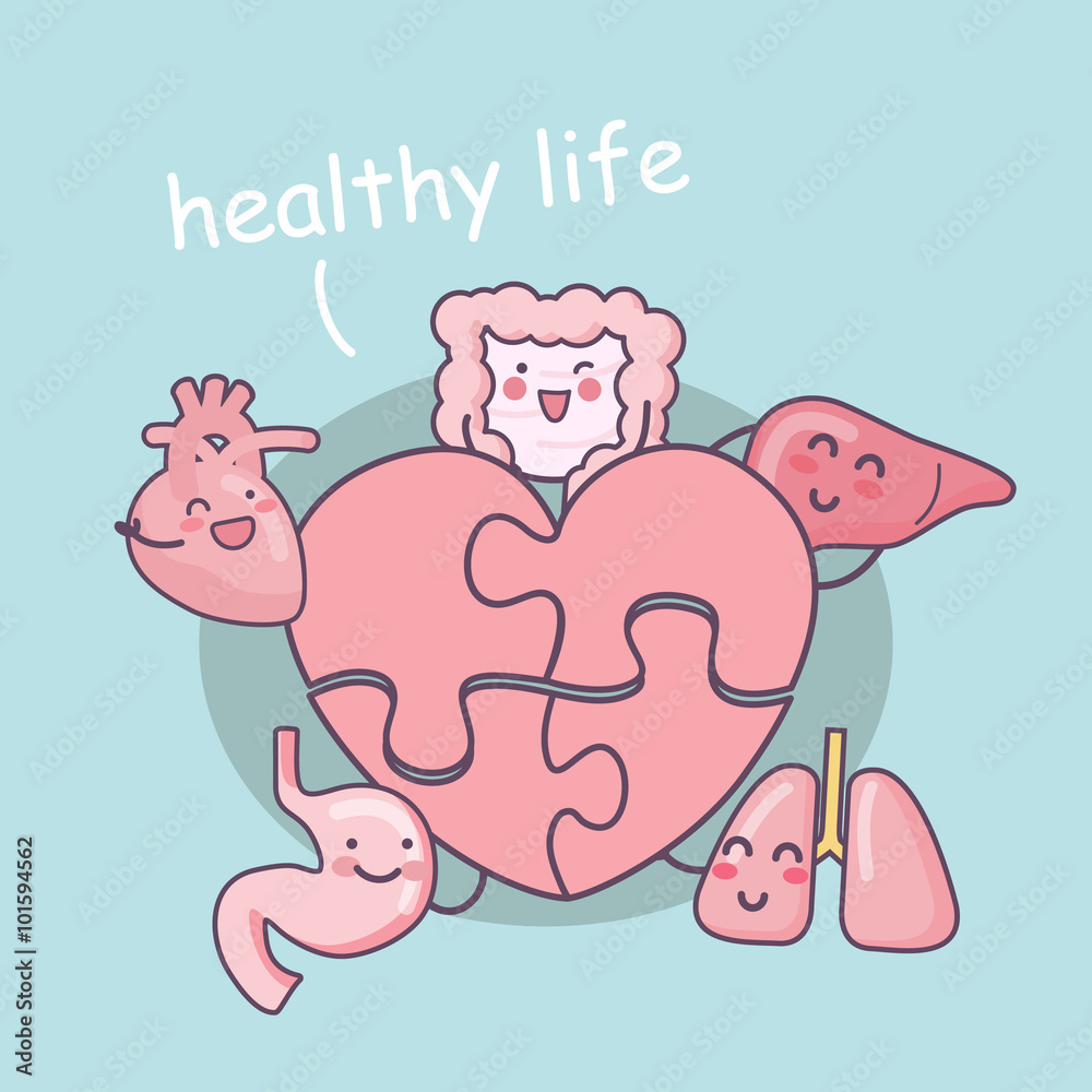cartoon organ with love puzzle cartoon organ with love puzzle