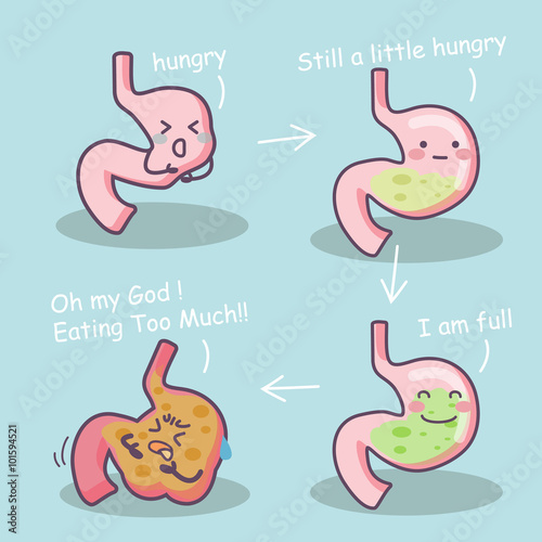 stage of cartoon stomach