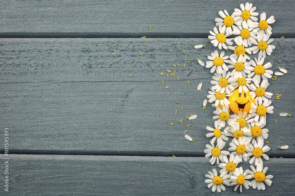 Obraz premium Daisies on the table.