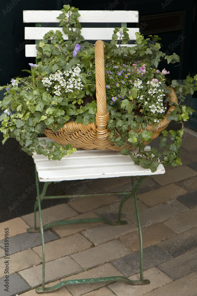 Fototapeta premium Flower Basket