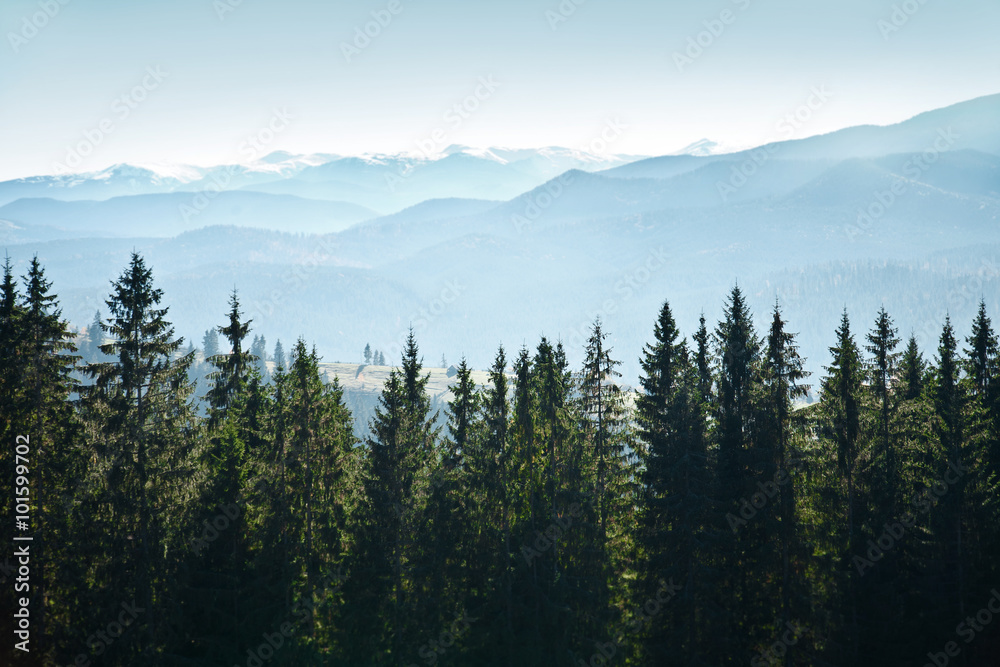Naklejka premium Mountain landscape with trees