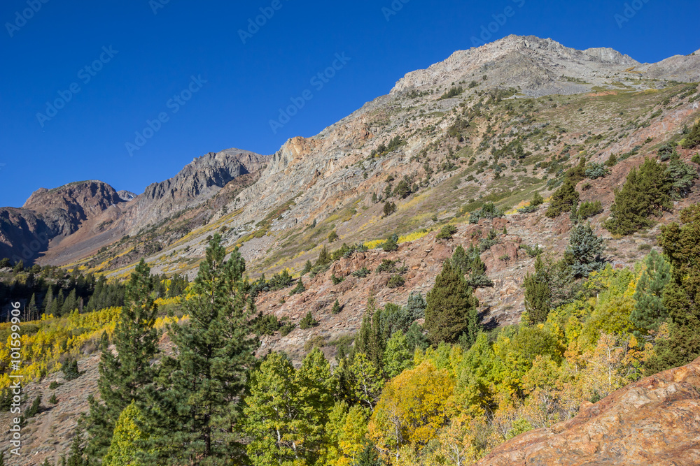 Fall colors at Lundy Lake, California