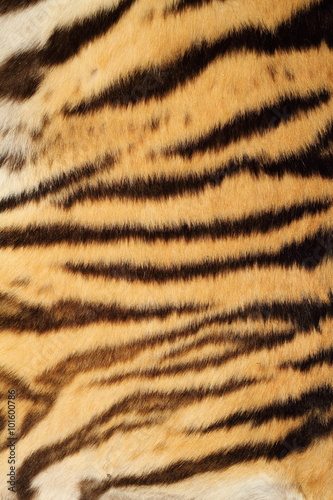 tiger real fur