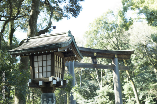 torii landscape