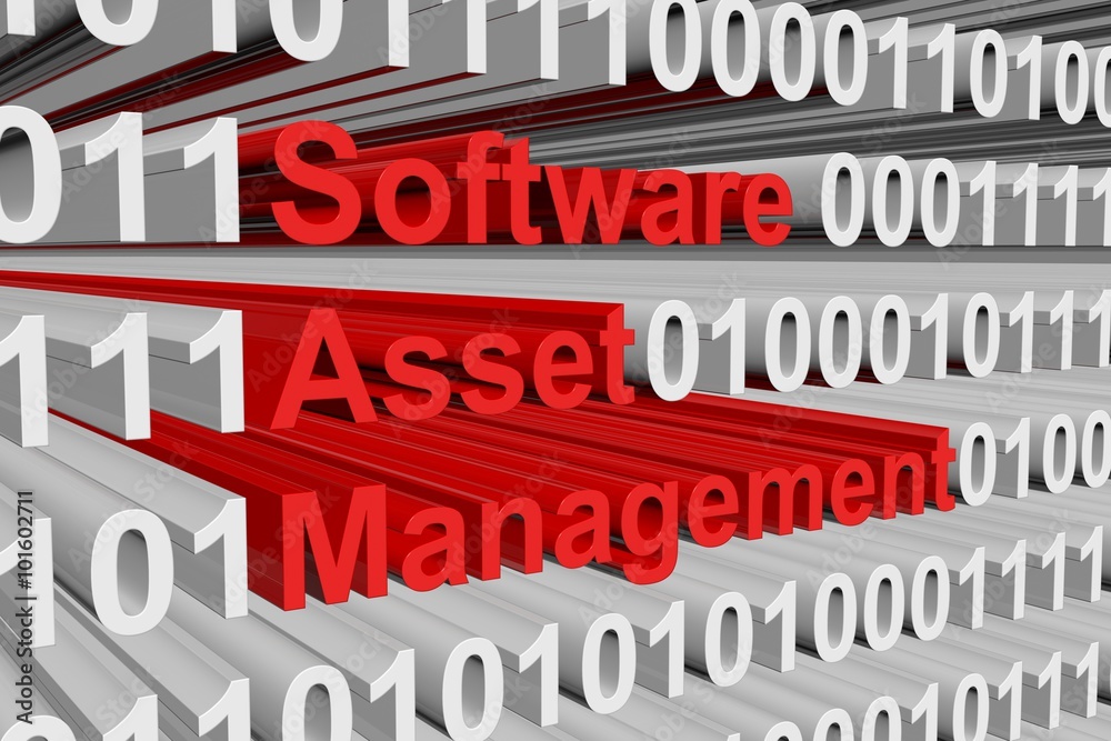 Software Asset Management is presented in the form of binary code