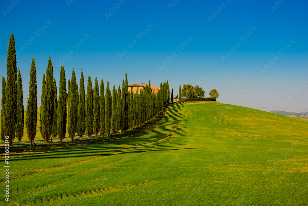 Fototapeta premium Villa in Tuscany with cypress road and blue sky, idyllic seasonal nature landscape vintage hipster background
